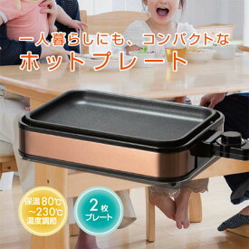 【ふるさと納税】YAMAZEN YZホットプレート2枚 プレート ブラウン キッチン用品 調理器具 調理家電 山善 岐阜県 中津川市 F4N-2530