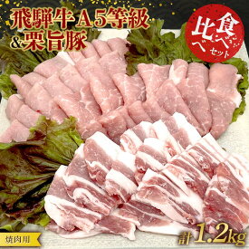 【ふるさと納税】【数量限定！チルド(冷蔵)発送！】「飛騨牛A5等級」＆「栗旨豚」 食べ比べセット 合計1.2kg 焼肉用 ふるさと納税 飛騨牛 栗旨豚 食べ比べ 焼肉 BBQ 数量限定 ブランド牛 ブランド豚 セット 東美濃農業協同組合 F4N-1806