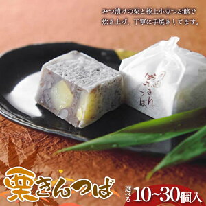 yӂ邳Ɣ[Łz_IׂI^qَqi bߕrI 10E15E20E25E30 F4N-2442var