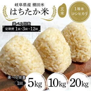 【ふるさと納税】\選べる容量・回数/岐阜県産 棚田米 1等米コシヒカリ はちたか米 玄米5kg 10kg 20kg 1回 3〜12回 F4N-2618var