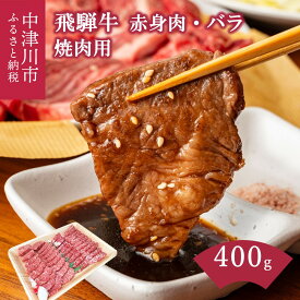 【ふるさと納税】飛騨牛 焼肉 用 量が選べる (400g / 800g / 1.2kg) 赤身 バラ 詰め合わせ 冷凍【熊崎畜産】肉 国産 牛肉 高級 黒毛和牛 人気 ブランド 和牛 お祝い 記念日 誕生日 バーベキュー キャンプ アウトドア BBQ 鉄板焼き お取り寄せ 岐阜県 中津川市 F4N-0609var