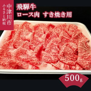 yӂ邳Ɣ[Łzˋ Ăp A5 N [X  500gyF{Yz  uh A5 a a LO j p[eB[ o[xL[ LvyBBQz͂F