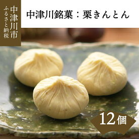 中津川銘菓：栗きんとん12個（6個入×2箱）[秋季限定] 信玄堂 栗 くり くりきんとん 和菓子 菓子 スイーツ 秋 限定 冷蔵 岐阜県 F4N-2302
