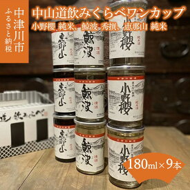 【ふるさと納税】中山道飲みくらべワンカップ 9本セット OGA-30A 13-004