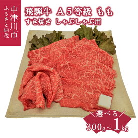 【ふるさと納税】【数量限定】飛騨牛 A5 等級 もも 内容量が選べる 300g 500g 1kg すき焼き しゃぶしゃぶ 冷蔵 発送 肉 牛肉 和牛 国産 高級 ブランド牛 黒毛和牛 牛すき お祝い 記念日 誕生日 プレゼント パーティー お取り寄せ グルメ 送料無料 岐阜県 中津川市