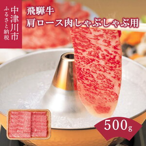 yӂ邳Ɣ[Łz ˋ [X Ԃԗp 500g   [X [X Ԃ Ԑg ˁy㌩z  a Y ؂ a LO j lC  O