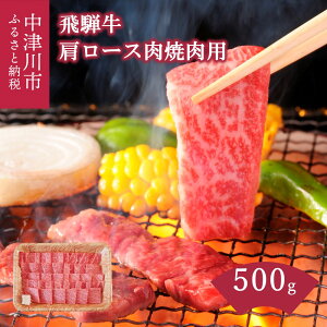 yӂ邳Ɣ[Łz ˋ [X ēp 500g y㌩z  a Y ؂ uߕ o[xL[ Lv AEghA a LO j lC  O Ⓚ 