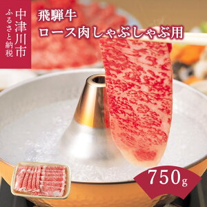 yӂ邳Ɣ[Łz ˋ [X Ԃԗp 750g   [X Ԃ Ԑg ˁy㌩z a Y ؂ a LO j lC  O Ⓚ 