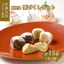 【ふるさと納税】新杵堂 栗きんとん発祥の地 栗づくしセット 計15個 粒栗大福 粒栗三昧 人気 スイーツ ギフト 栗菓子 和菓子 菓子 中津川銘菓 お取り寄せ グルメ 岐阜県 中津川市 送料無料 F4N-0767