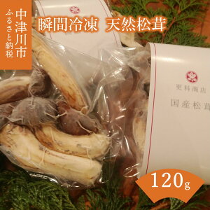 yӂ邳Ɣ[Łz򕌌Ð uԗⓀVR 120g F4N-2519