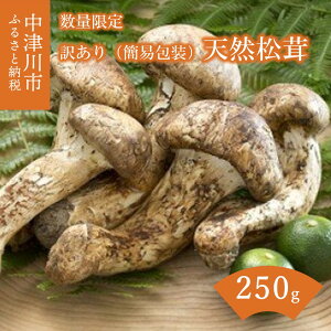 yӂ邳Ɣ[ŁzyʌzVR ʂIׂ (125g / 250g) сAĂAyrȂ 󂠂iȈՕj F4N-2520var