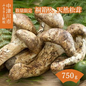 yӂ邳Ɣ[Łzyʌz VR ˔ ʂIׂ (125g / 250g / 500g / 750g) сAĂAyrȂ F4N-2522var