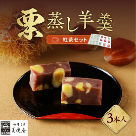 【ふるさと納税】栗蒸し 羊羹 2本 or 3本 紅茶 セット【御菓子司 美濃屋】栗羊羹 くりようかん くりむしようかん 栗蒸羊羹 羊かん 国産 栗 和栗 人気 お菓子 和菓子 栗菓子 ギフト プレゼント 手土産 お取り寄せ グルメ みのや 送料無料 秋 旬