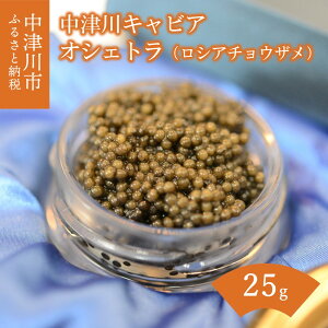 yӂ邳Ɣ[ŁzÐ LrA IVFg (VA`EU) S Caviar Labo  򕌌 Ðs F4N-1210