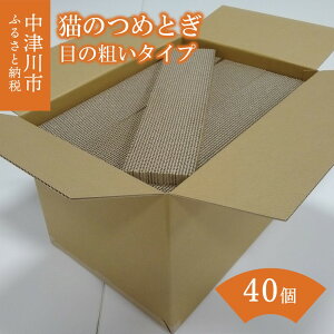 yӂ邳Ɣ[ŁzL ߂Ƃ 40yڂ e ^Cvzi~i~ 5mm i{[  Lpi { Y ˂ lR Lbg ybg ObY  ܂Ƃ  F4N-1281