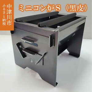 yӂ邳Ɣ[ŁzyBBQz~jRFSij Lv o[ׁ[L[ ē F4N-0060