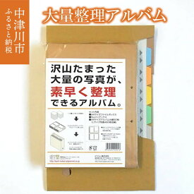 【ふるさと納税】大量整理アルバム 写真 整理 インデックス A4 岐阜県 中津川市 8-019