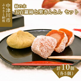 【ふるさと納税】五百羅柿5個と栗きんとん5個のセット 柿の木 栗きんとん 和菓子 お茶菓子 お茶請け お菓子 菓子 食品 F4N-0172