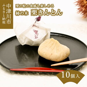 【ふるさと納税】栗きんとん10個入 柿の木 栗きんとん 和菓子 お茶菓子 お茶請け お菓子 菓子 食品 F4N-0171