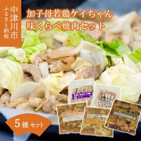 【ふるさと納税】加子母 若鶏 ケイちゃん 味くらべ 焼肉 セット ( 鶏肉 小分け 200g×3 豚トロ 180g×1 豚バラ肉 の塩 麹 200g×1 肝皮 300g×1 ) 9-007