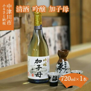 【ふるさと納税】清酒 吟醸 加子母 720ml F4N-0016