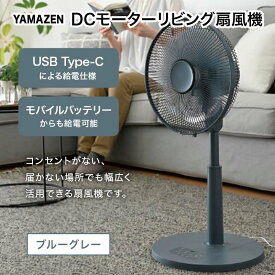 【ふるさと納税】YAMAZEN 30cmDCフルリモコン扇 PD(A) S5M21 RLX-CP030(A) PD(パワー・デリバリー)仕様 扇風機 高出力の風量 コンセントがなくても使用可能 シンプル dcモーター リモコン ブルーグレー F4N-1959