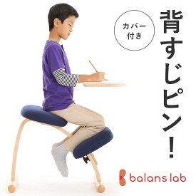 【ふるさと納税】バランス イージー(カバー付き) インテリア 家具 姿勢矯正 姿勢が良くなる椅子 姿勢が気になる 姿勢をよくする椅子 日本製造