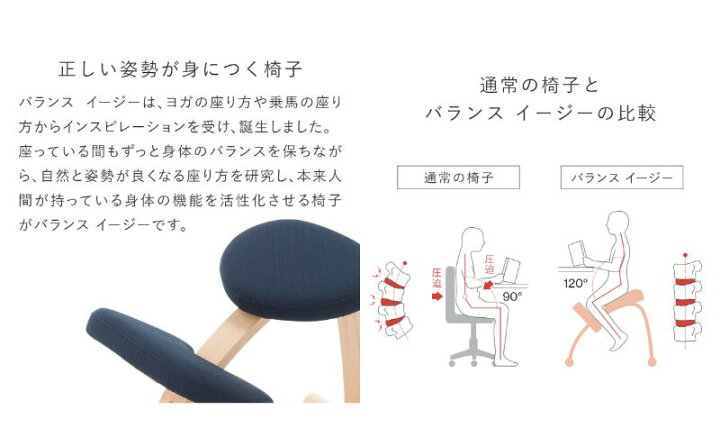 楽天市場】【ふるさと納税】バランス イージー(カバー付き) インテリア 