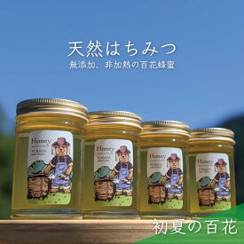 【ふるさと納税】合計920g 天然蜂蜜 国産蜂蜜 非加熱 生はちみつ 岐阜県 美濃市産 初夏 (蜂蜜230g入りガラス瓶4本)B4　【 ハニー 調理 料理 味付け 甘味 百花蜜 深い味わい 自然の味 無添加 】