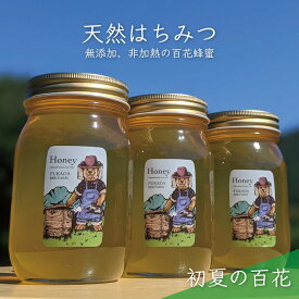 【ふるさと納税】合計1800g 天然蜂蜜 国産蜂蜜 非加熱 生はちみつ 岐阜県 美濃市産 初夏 (蜂蜜600g入りガラス瓶3本セット)B7　【 ハニー 調理 料理 味付け 甘味 百花蜜 深い味わい 自然の味 無添加 】