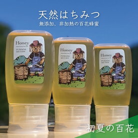 【ふるさと納税】合計900g 天然蜂蜜 国産蜂蜜 非加熱 生はちみつ 岐阜県 美濃市産 初夏 (蜂蜜300g入りピタッとボトル3本セット)B11　【 ハニー 調理 料理 味付け 甘味 百花蜜 深い味わい 自然の味 無添加 】