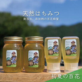 【ふるさと納税】合計1800g 天然蜂蜜 国産蜂蜜 非加熱 生はちみつ 岐阜県 美濃市産 初夏 (蜂蜜600g入りガラス瓶2本、蜂蜜300g入りピタッとボトル2本のセット)B16　【 ハニー 調理 料理 味付け 甘味 百花蜜 深い味わい 自然の味 無添加 】