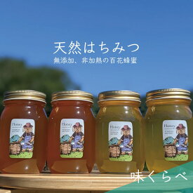 【ふるさと納税】合計2400g 天然蜂蜜 国産蜂蜜 非加熱 生はちみつ 岐阜県 美濃市産 味比べ 蜂蜜600g入りガラス瓶 4本セットC4　【 ハニー 調理 料理 味付け 甘味 百花蜜 深い味わい 自然の味 無添加 】