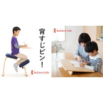 楽天市場】バランスイージーの通販