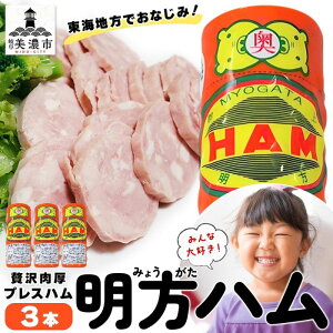 yӂ邳Ɣ[Łz n 3{ vXn JA uh  ؓ  Y n  T VR ؒ o[xL[ BBQ Hi   Mtg  ߂݂̔_Ƌg 
