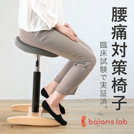 【ふるさと納税】バランス シナジー(カバーなし) 椅子 腰痛 対策 イス バランスラボ 岐阜県 美濃市