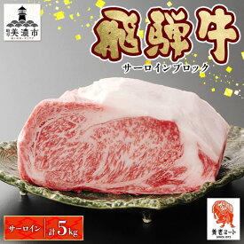 【ふるさと納税】飛騨牛 サーロインブロック 5kg サーロイン ブロック サーロイン肉 ブロック肉 サーロインステーキ ローストビーフ ステーキ 国産 国産牛 和牛 肉 お肉 牛 ビーフ 日本産 和牛ステーキ ご当地 お取り寄せグルメ 送料無料 岐阜県 美濃市