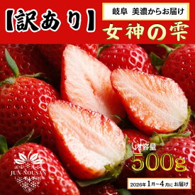 【ふるさと納税】【訳あり】「今までで1番うまい」とグルメ家がうなったイチゴ【女神の雫】 2026年1月 2月 3月 4月 450g 岐阜県 美濃市 じゅん農産 訳アリ 苺　お届け：2026年1月1日～4月30日まで