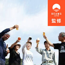 【ふるさと納税】【BEAMS JAPAN監修】パーティセットビール6本【配送不可地域：離島】【1352607】