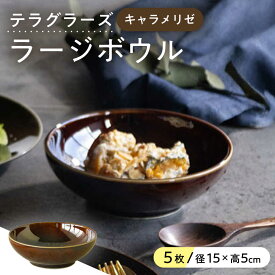 【ふるさと納税】【美濃焼】 テラグラーズ ラージボウル キャラメリゼ 5客揃 瑞浪市 / アワサカ 食器 鉢 ボウル[AZAD004]