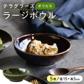 【ふるさと納税】【美濃焼】 テラグラーズ ラージボウル オリビエ 5客揃 瑞浪市 / アワサカ 食器 鉢 ボウル[AZAD005]