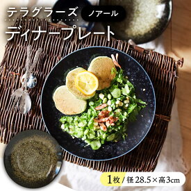 【ふるさと納税】【美濃焼】 テラグラーズ ディナープレート ノアール 1客 瑞浪市 / アワサカ 食器 皿 プレート[AZAD011]