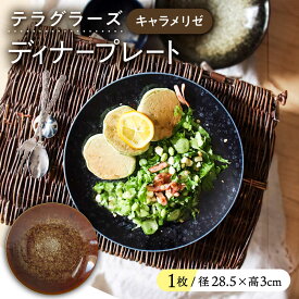 【ふるさと納税】【美濃焼】 テラグラーズ ディナープレート キャラメリゼ 1客 瑞浪市 / アワサカ 食器 皿 プレート[AZAD012]
