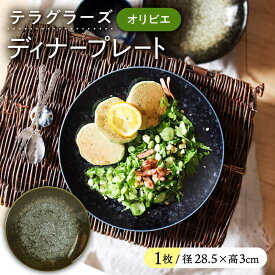 【ふるさと納税】【美濃焼】 テラグラーズ ディナープレート オリビエ 1客 瑞浪市 / アワサカ 食器 皿 プレート[AZAD013]