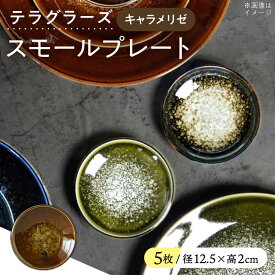 【ふるさと納税】【美濃焼】 テラグラーズ スモールプレート キャラメリゼ 5客揃 瑞浪市 / アワサカ 食器 皿 プレート[AZAD020]