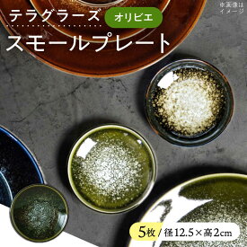 【ふるさと納税】【美濃焼】 テラグラーズ スモールプレート オリビエ 5客揃 瑞浪市 / アワサカ 食器 皿 プレート[AZAD021]