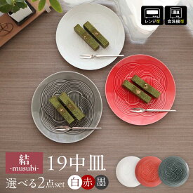 【ふるさと納税】【3色から選べる】 【美濃焼】 結 19中皿 2枚セット 瑞浪市 / JS企画 / 小田陶器 食器 プレート 皿[AZAZ164]