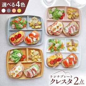 【ふるさと納税】【選べるカラー】【美濃焼】 ランチプレート クレスタ 取っ手付き 2枚セット / 瑞浪市 / JS企画 / 小田陶器 食器 仕切り皿 おしゃれ[AZAZ186]