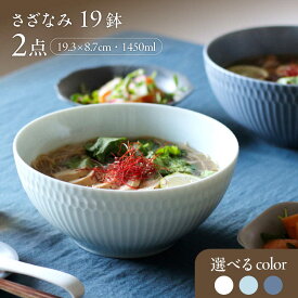 【ふるさと納税】【選べるカラー】【美濃焼】 さざなみ 19鉢 2枚セット 瑞浪市 / JS企画 皿 お皿 プレート 食器[AZAZ074]
