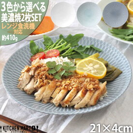 【ふるさと納税】【選べる3色】【美濃焼】 さざなみ 21深皿 2枚セット 瑞浪市 / JS企画 皿 お皿 プレート 食器 プレート パスタ皿 そば皿[AZAZ085]